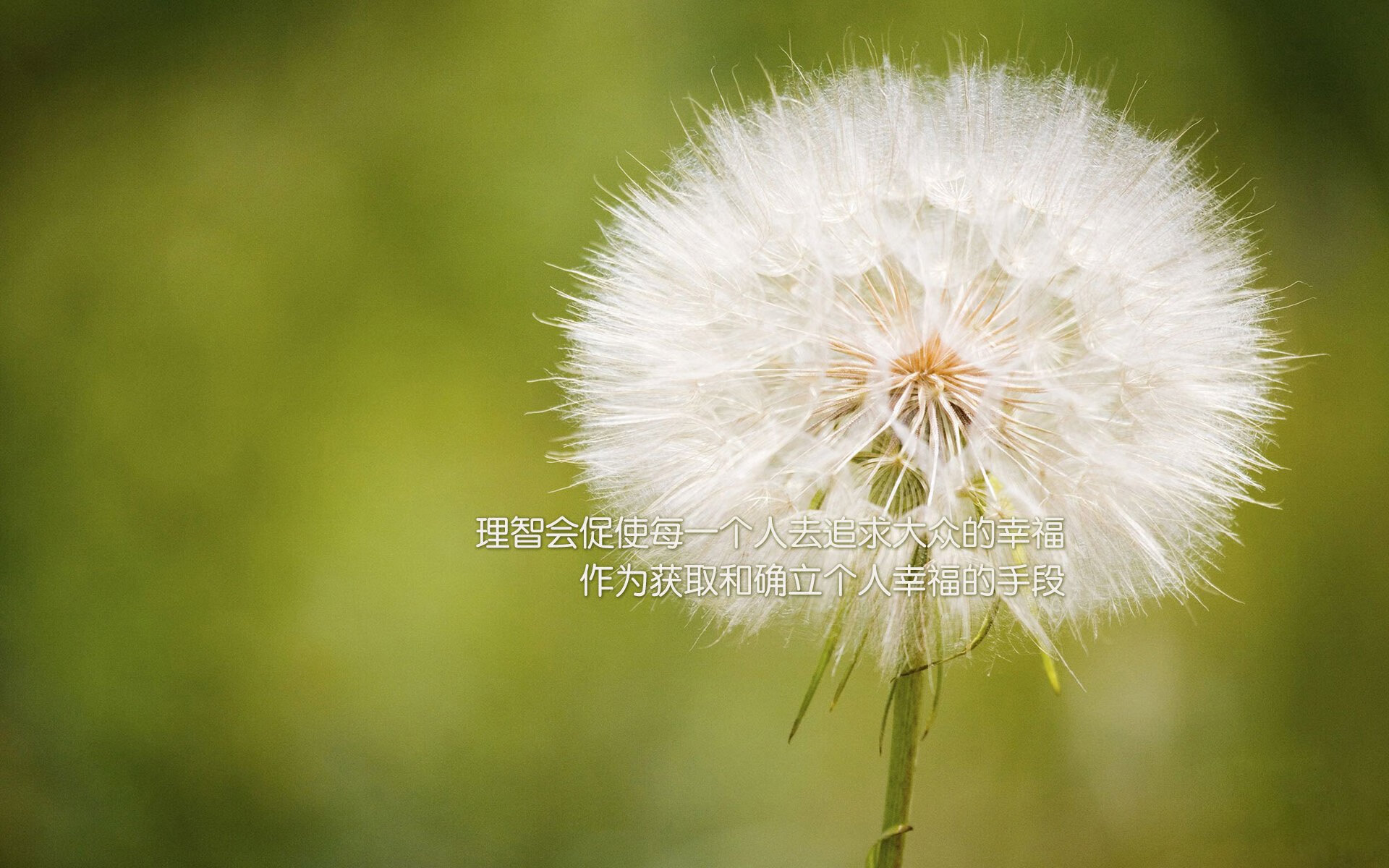 改写非洲足球的叙事，当塞内加尔将葡萄牙送回家，京多安不只是关键先生