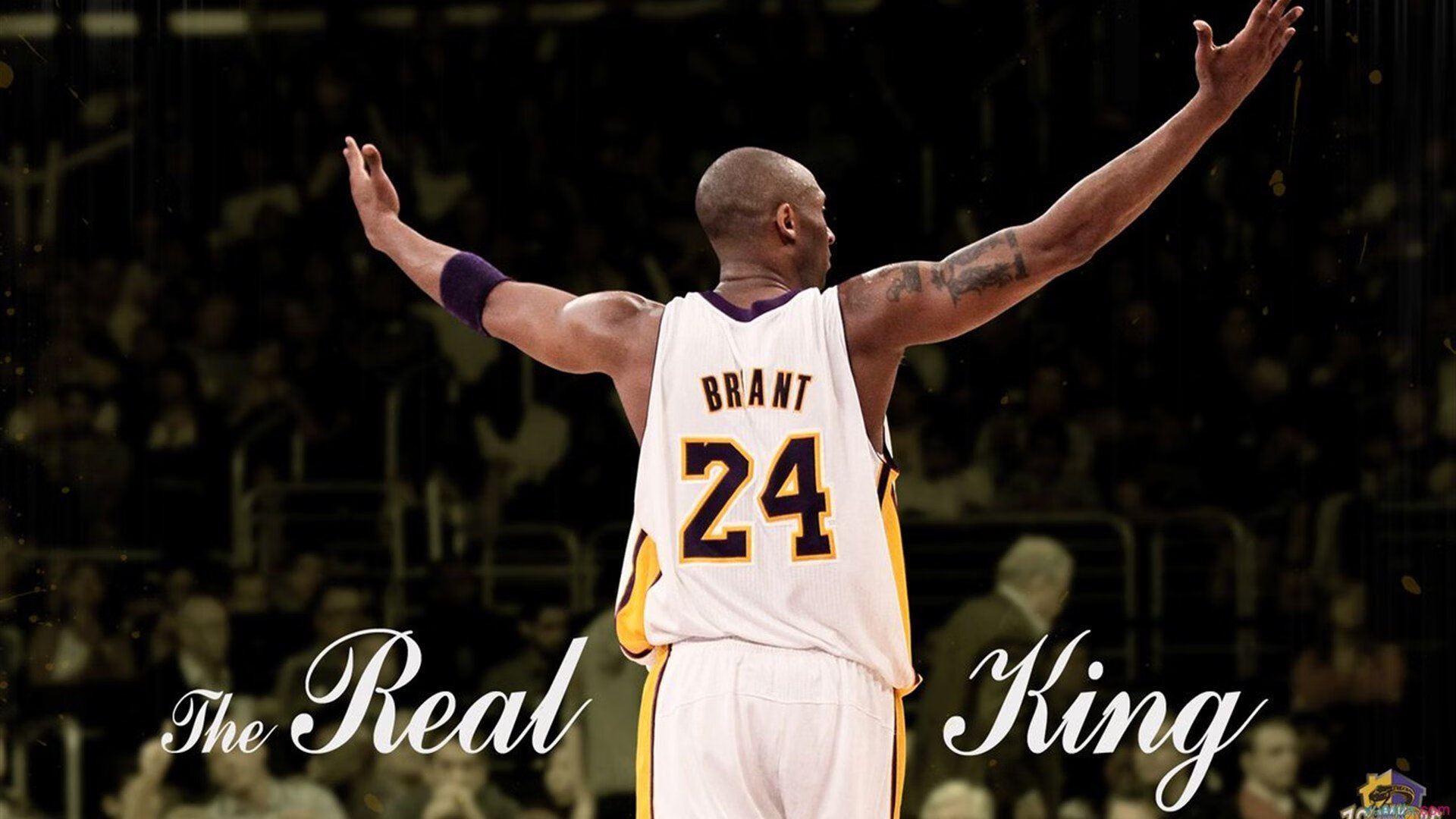 暗夜刺客迪亚斯，世界排名争夺战中的沉默杀手